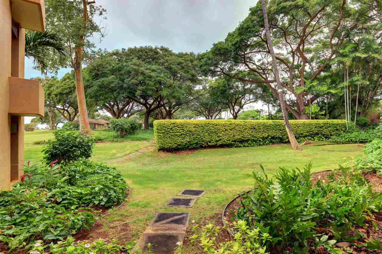 Kaanapali Royal condo # Q-101, Lahaina, Hawaii - photo 8 of 29