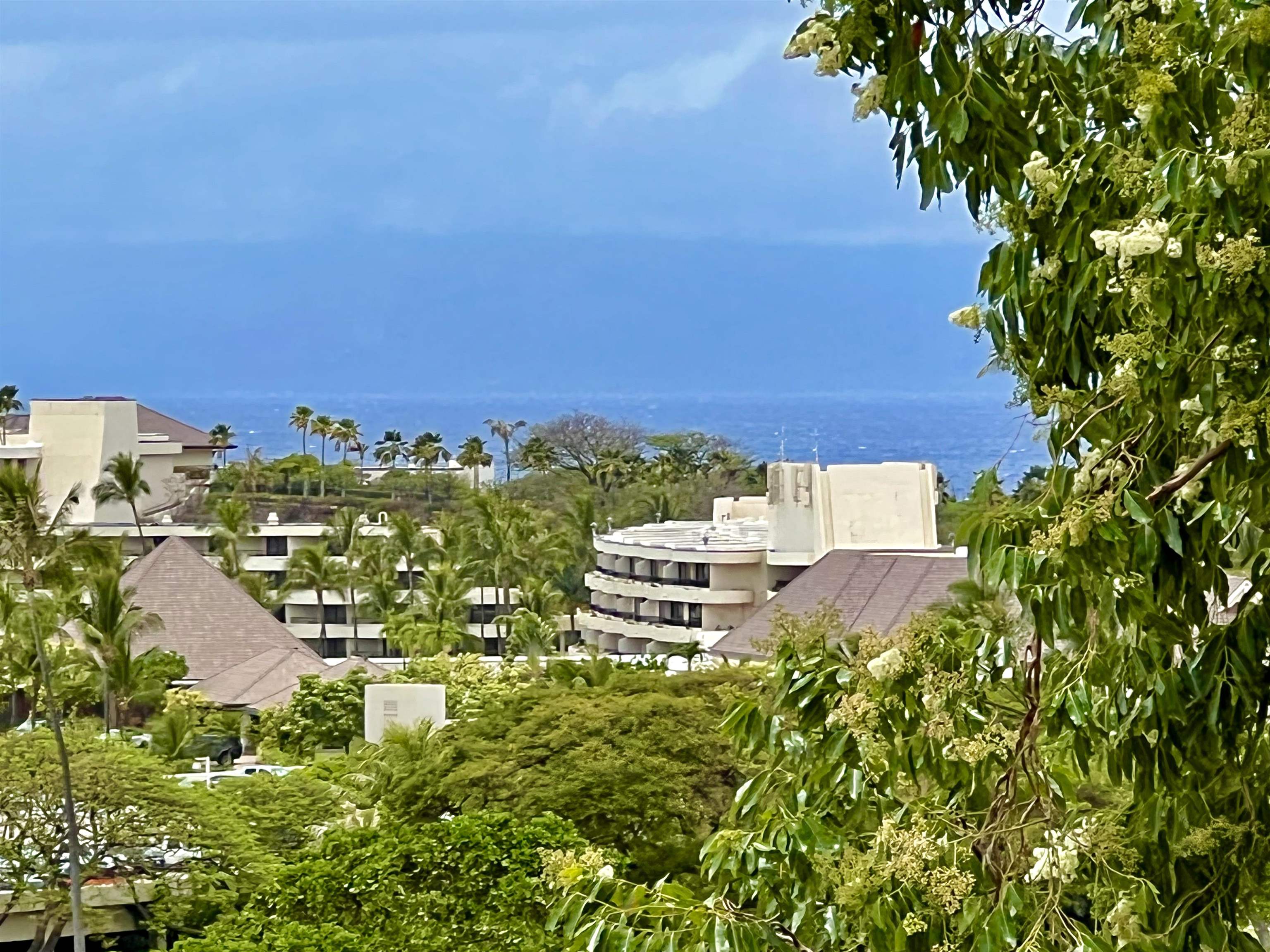 Kaanapali Royal condo # Q301, Lahaina, Hawaii - photo 10 of 30