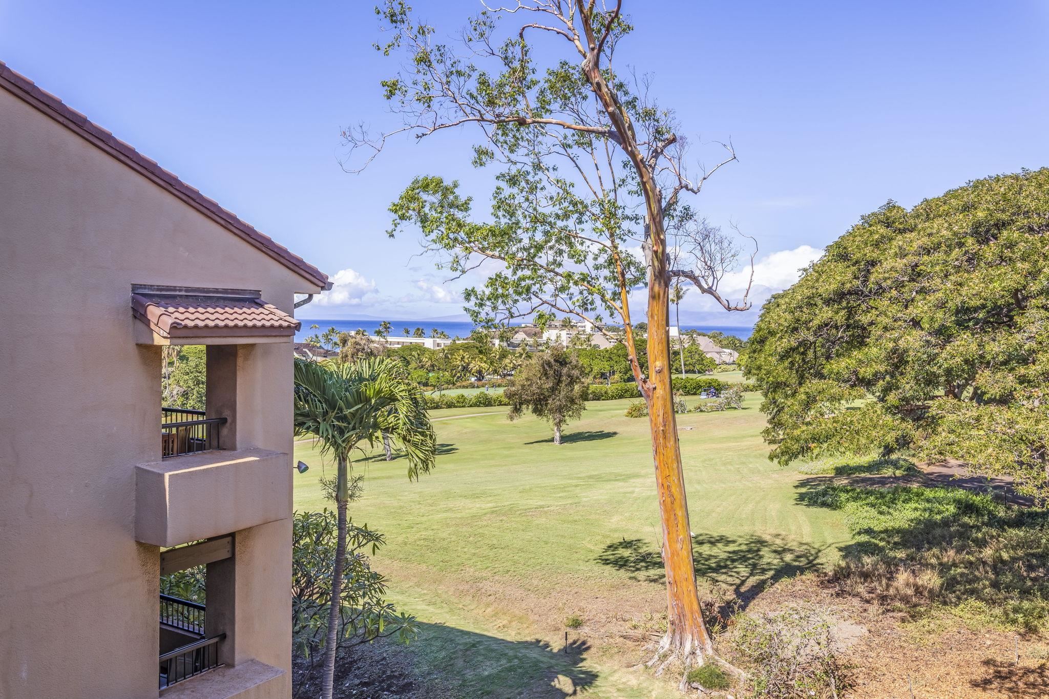 Kaanapali Royal condo # Q-302, Lahaina, Hawaii - photo 10 of 31