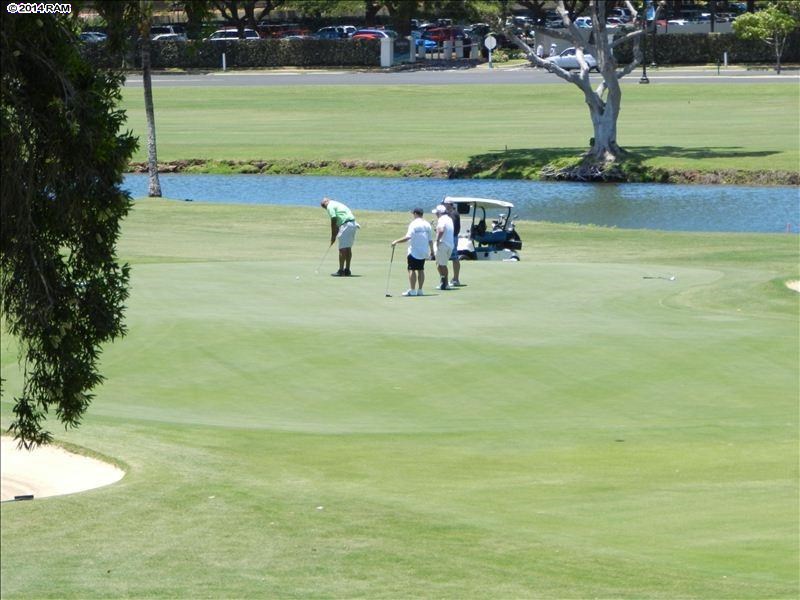 Kaanapali Royal condo # B 202, Lahaina, Hawaii - photo 15 of 16