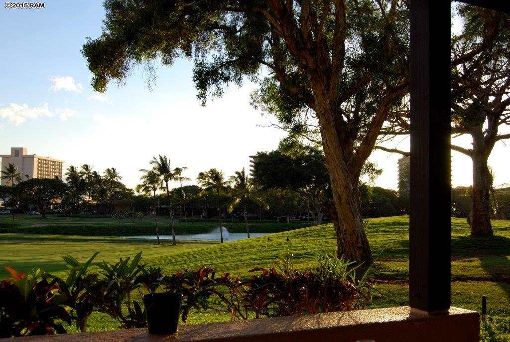 Kaanapali Royal condo # E102, Lahaina, Hawaii - photo 15 of 15