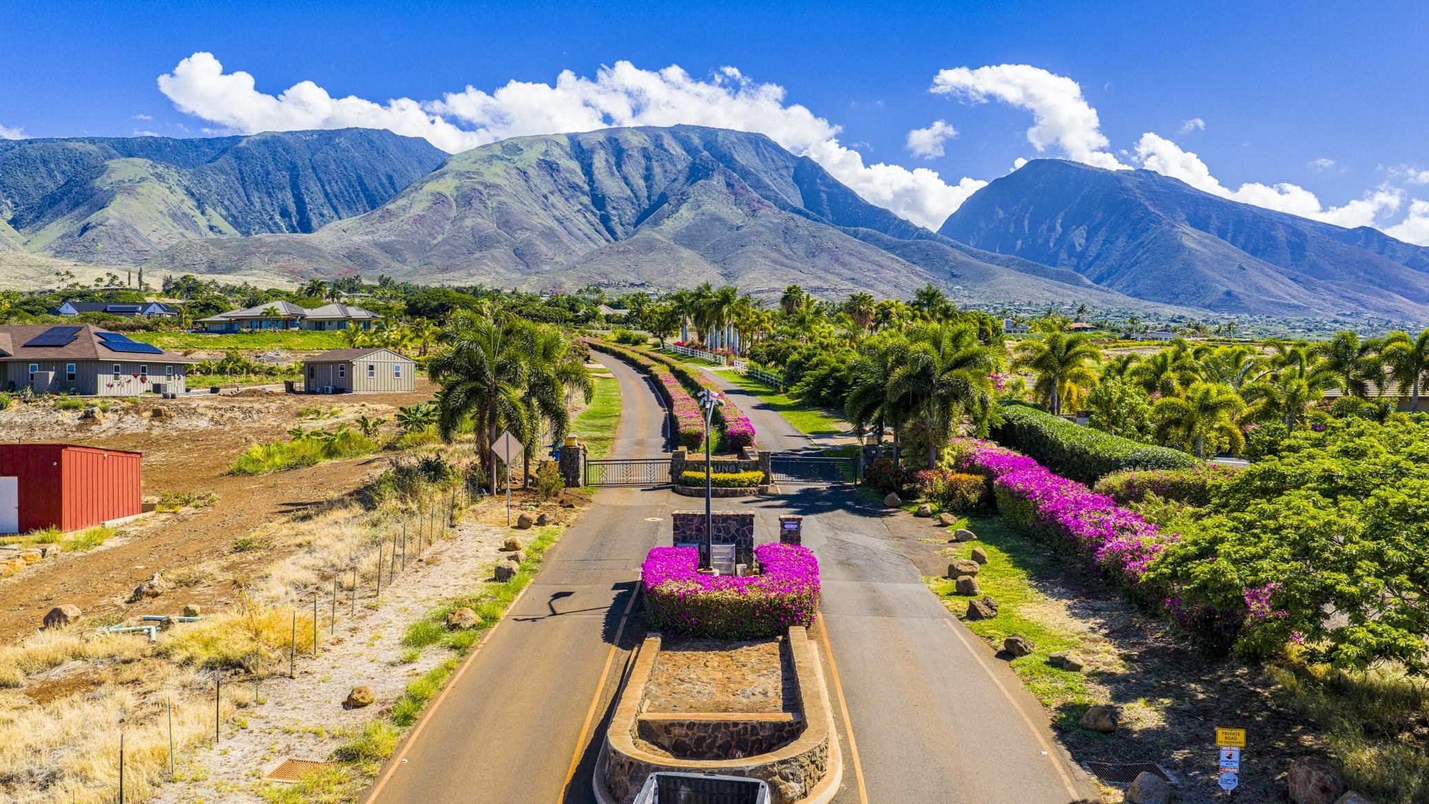 257  Hokiokio Pl Puunoa, Lahaina home - photo 3 of 48