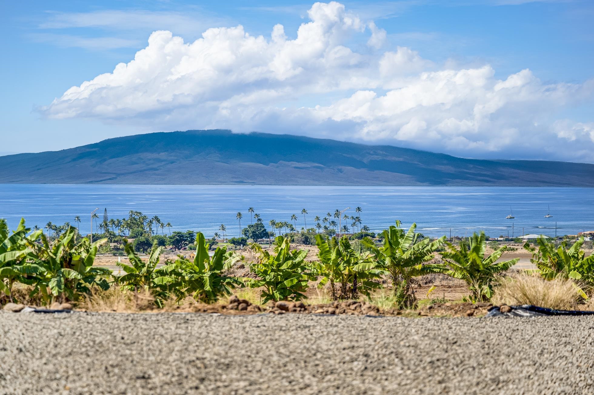 257  Hokiokio Pl Puunoa, Lahaina home - photo 41 of 48