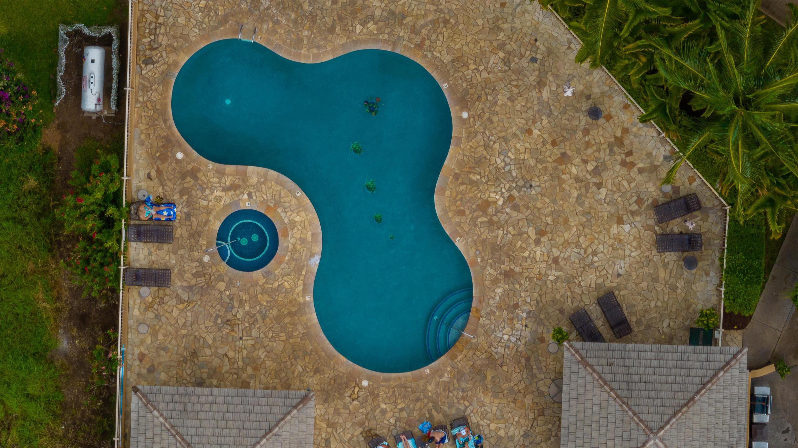 Maui Banyan condo # F-206, Kihei, Hawaii - photo 42 of 45