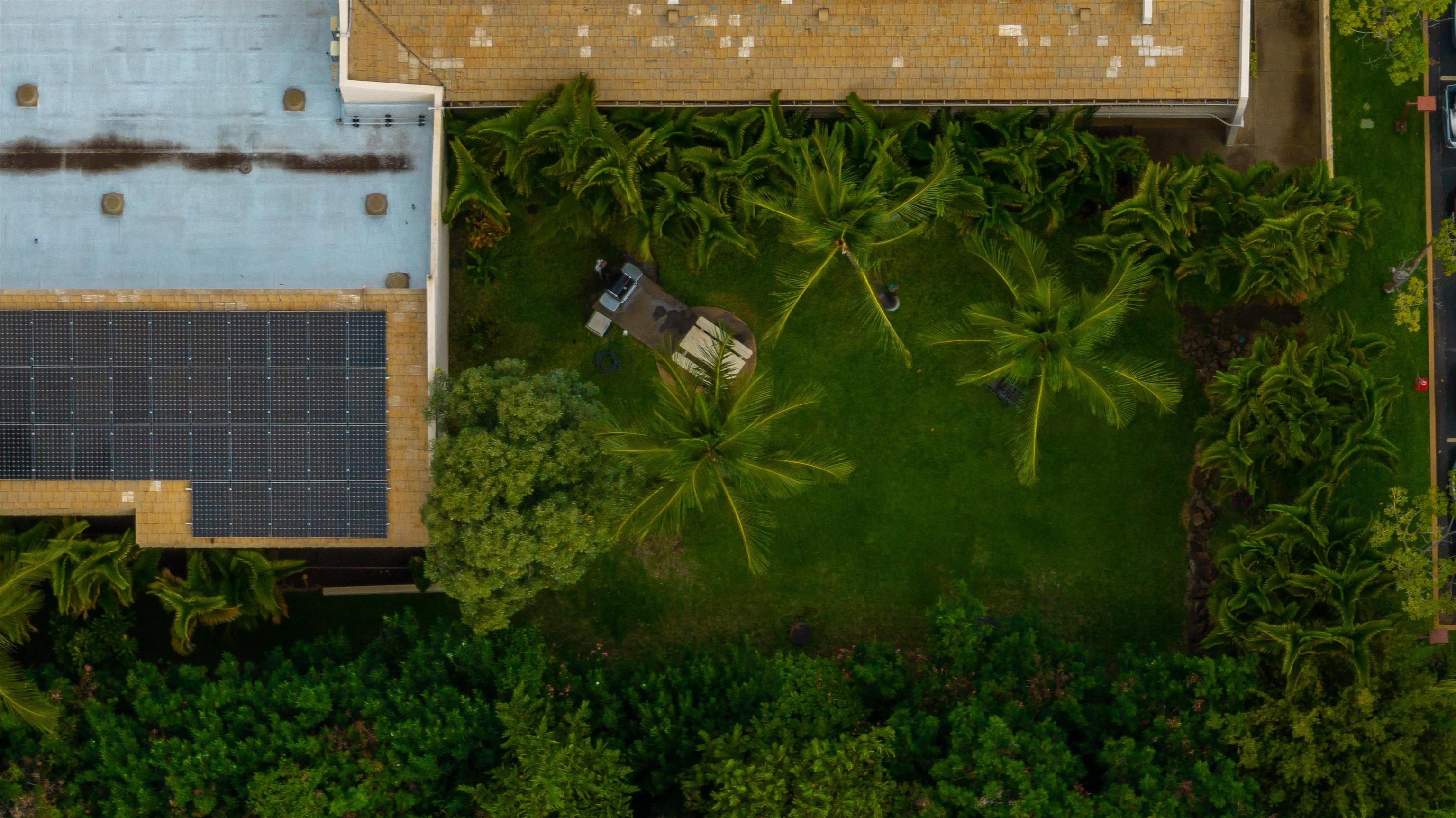 Maui Banyan condo # F-206, Kihei, Hawaii - photo 44 of 45