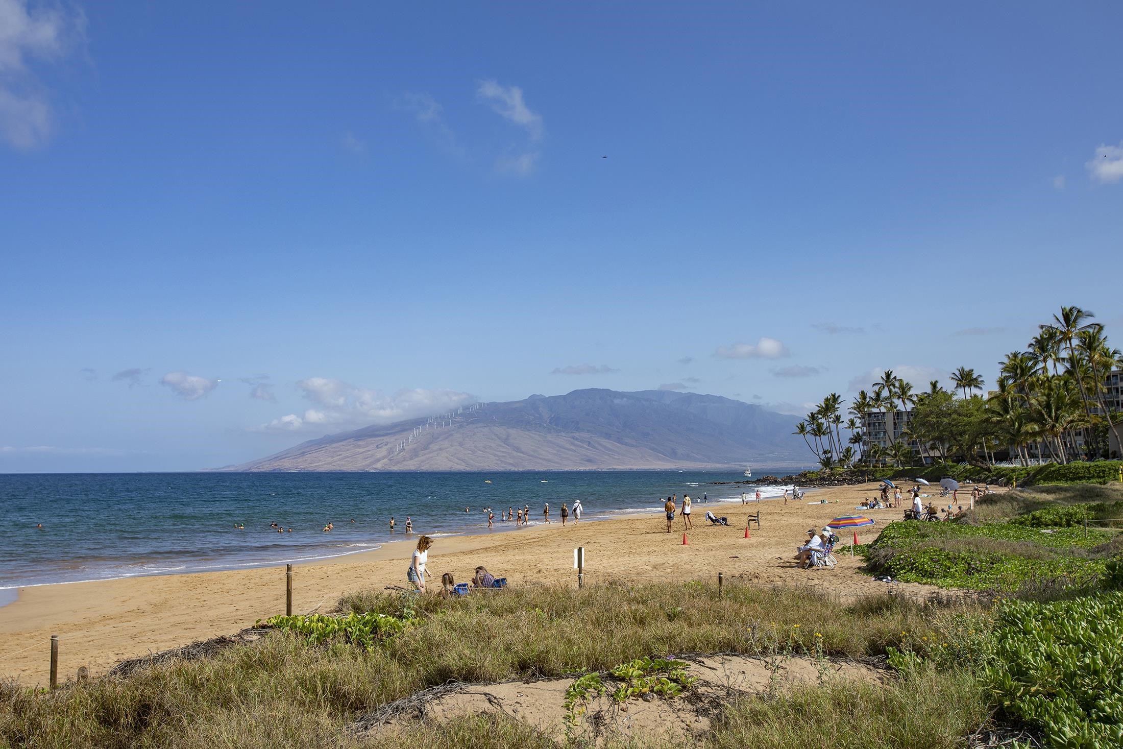 Maui Banyan condo # G-310, Kihei, Hawaii - photo 36 of 38