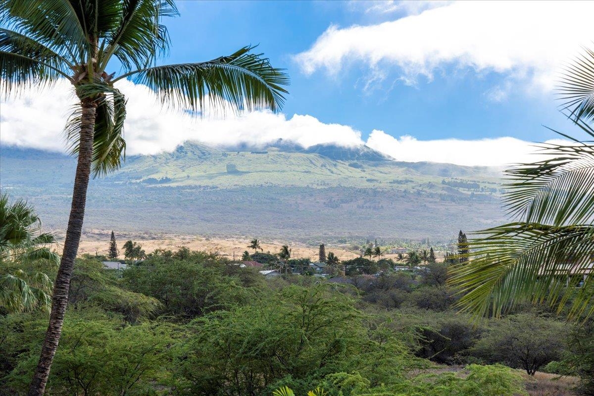 Maui Banyan condo # G409, Kihei, Hawaii - photo 22 of 32