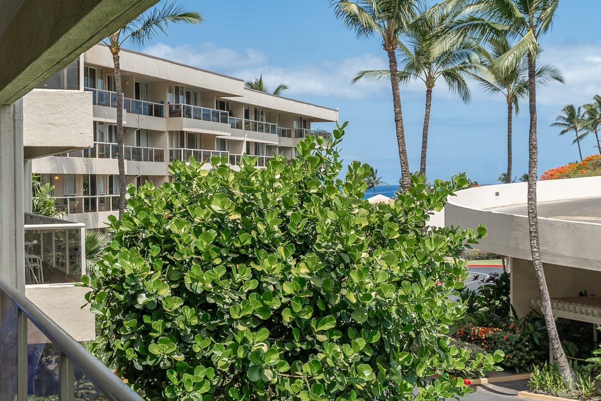 Maui Banyan condo # H-210, Kihei, Hawaii - photo 22 of 28