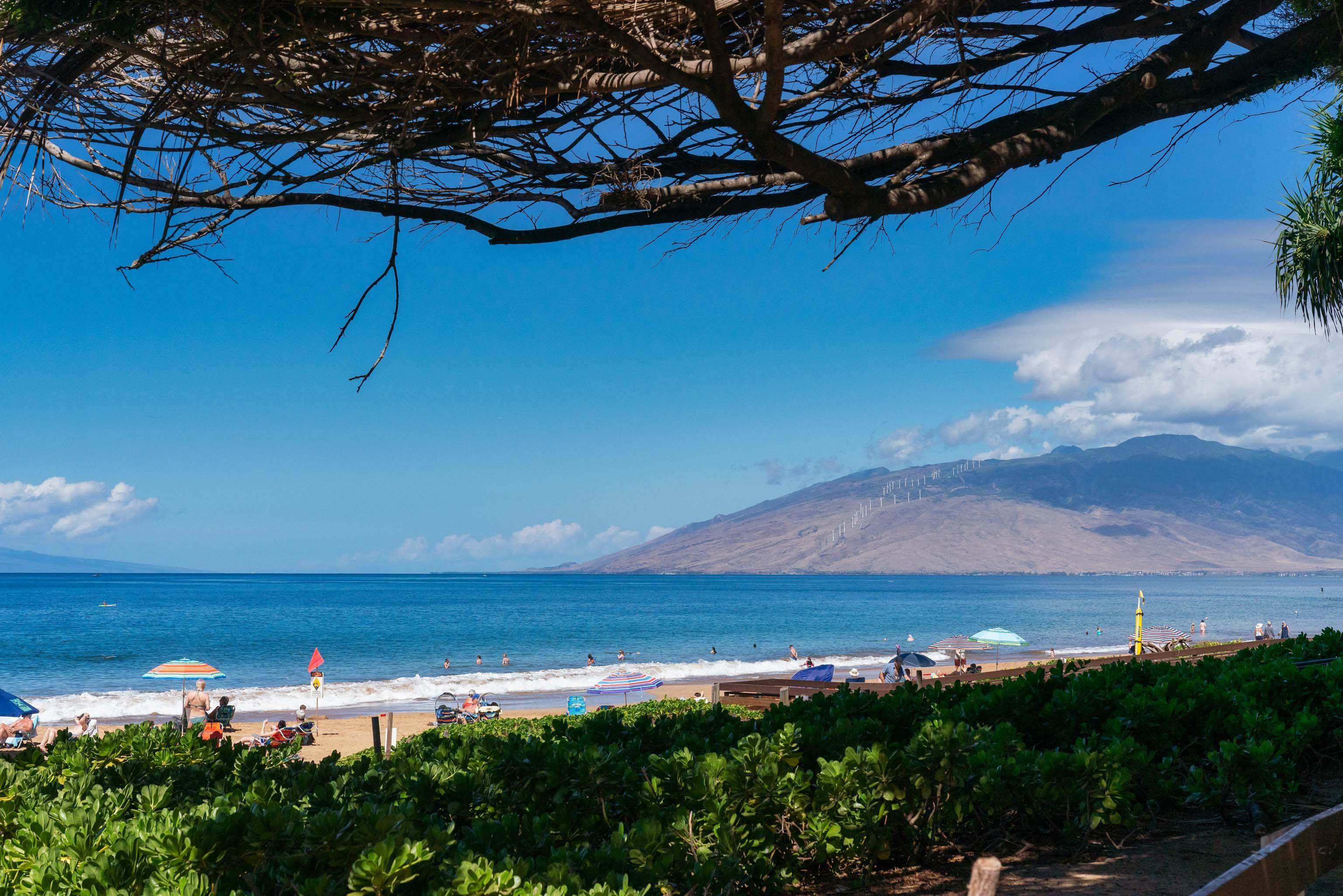 Maui Banyan condo # H303, Kihei, Hawaii - photo 23 of 30