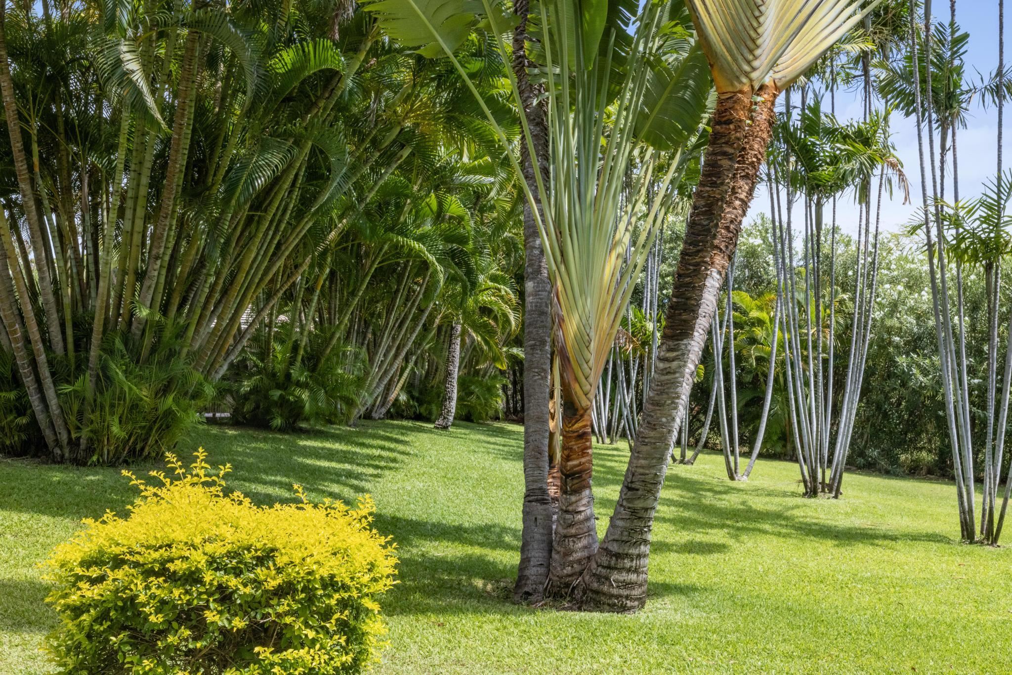 Maui Banyan condo # H-310, Kihei, Hawaii - photo 20 of 24