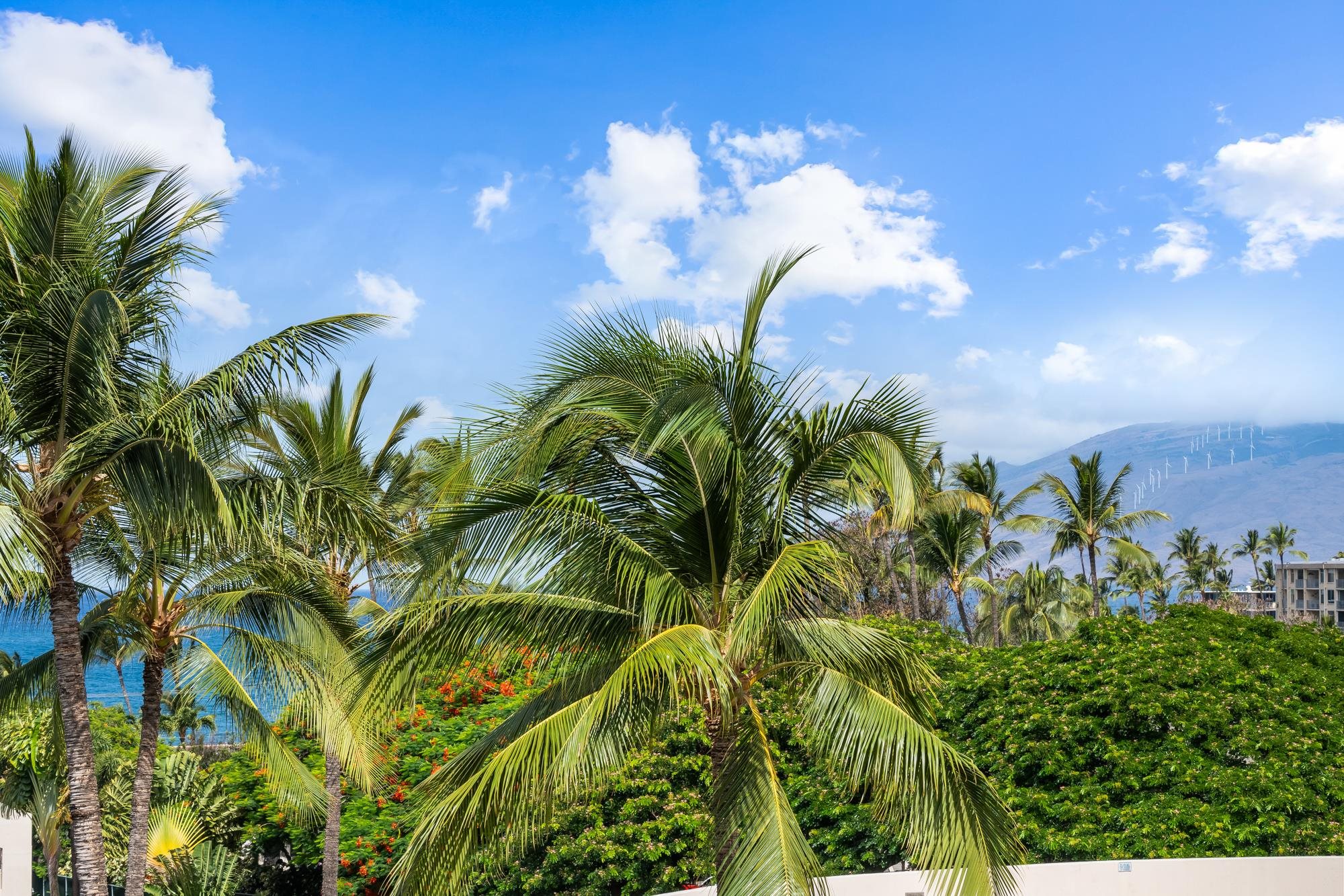 Maui Banyan condo # H-408, Kihei, Hawaii - photo 41 of 42