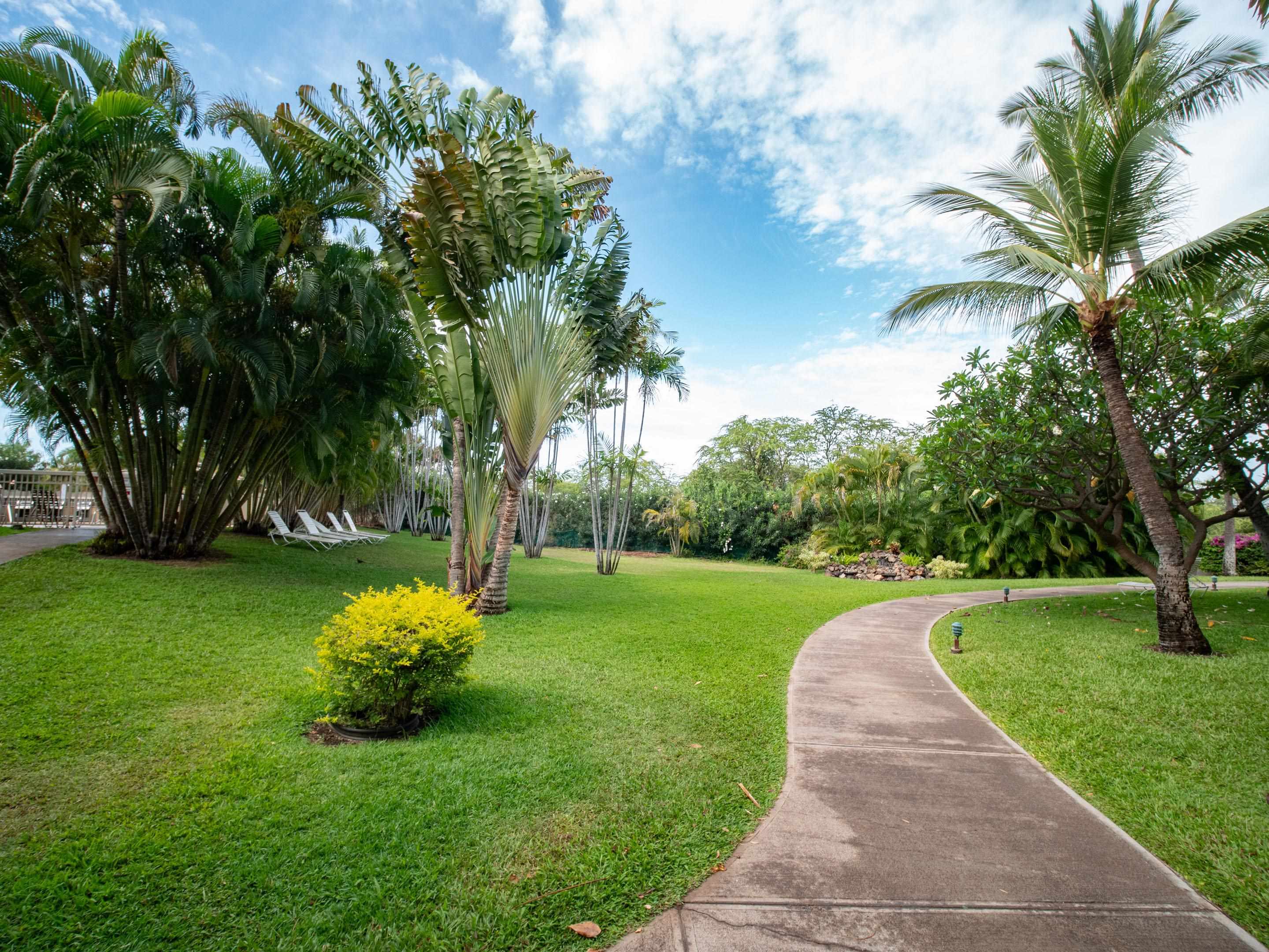 Maui Banyan condo # H-504, Kihei, Hawaii - photo 23 of 28