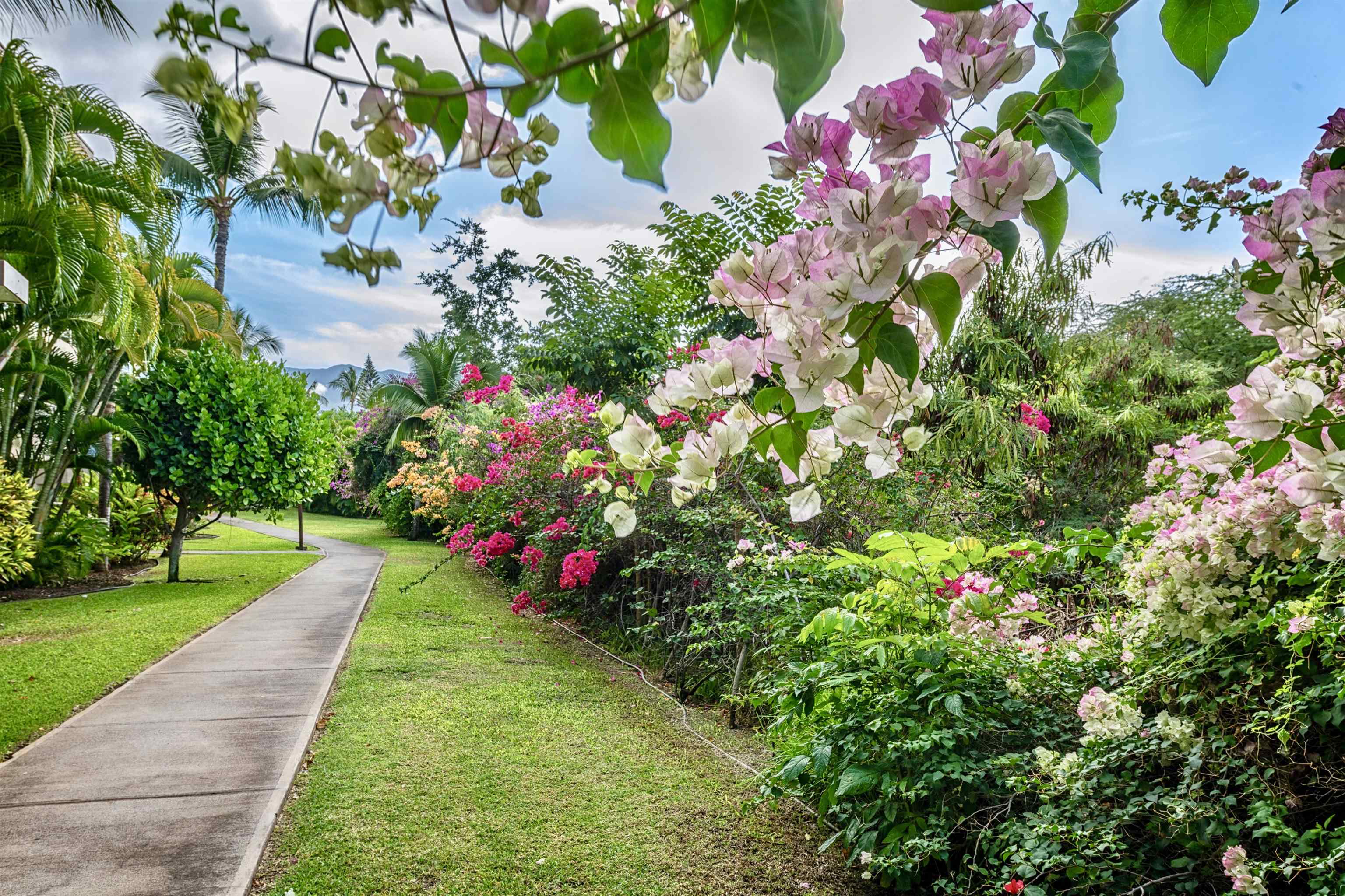 Maui Banyan condo # P202, Kihei, Hawaii - photo 33 of 34