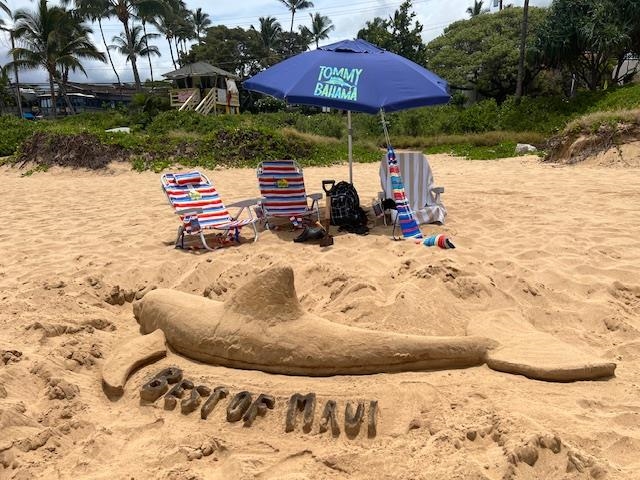 Maui Banyan condo # P 203, Kihei, Hawaii - photo 34 of 37