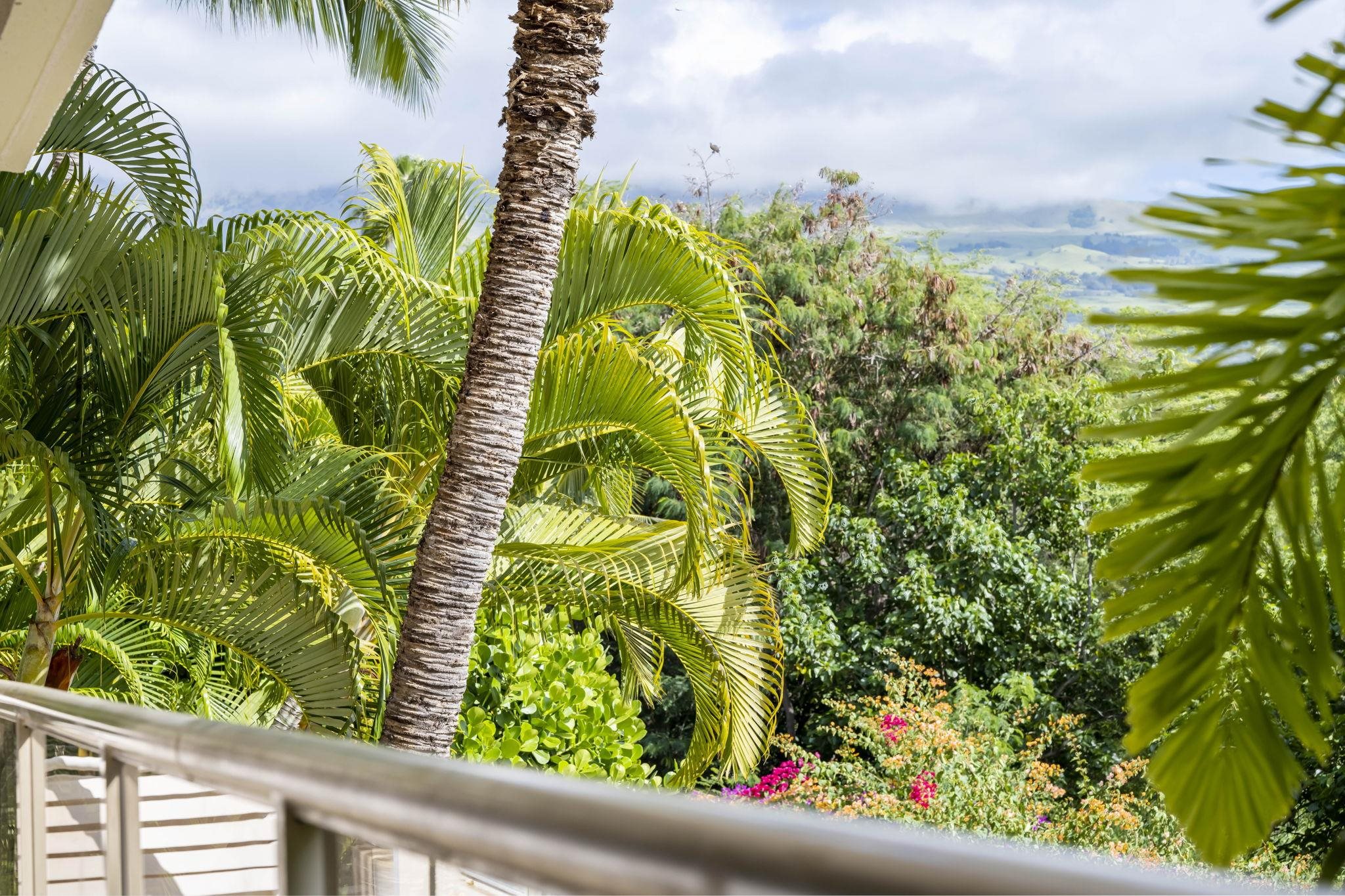 Maui Banyan condo # P205, Kihei, Hawaii - photo 11 of 48
