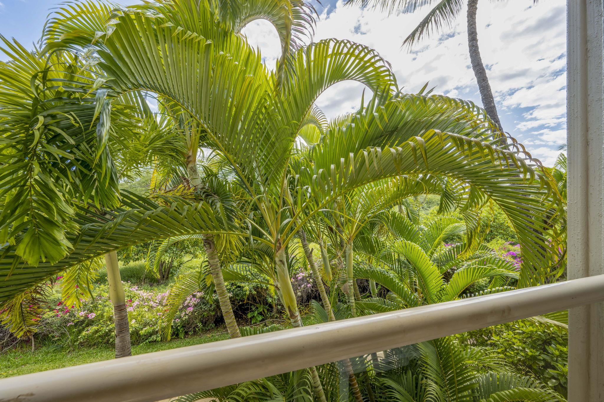 Maui Banyan condo # P205, Kihei, Hawaii - photo 44 of 48