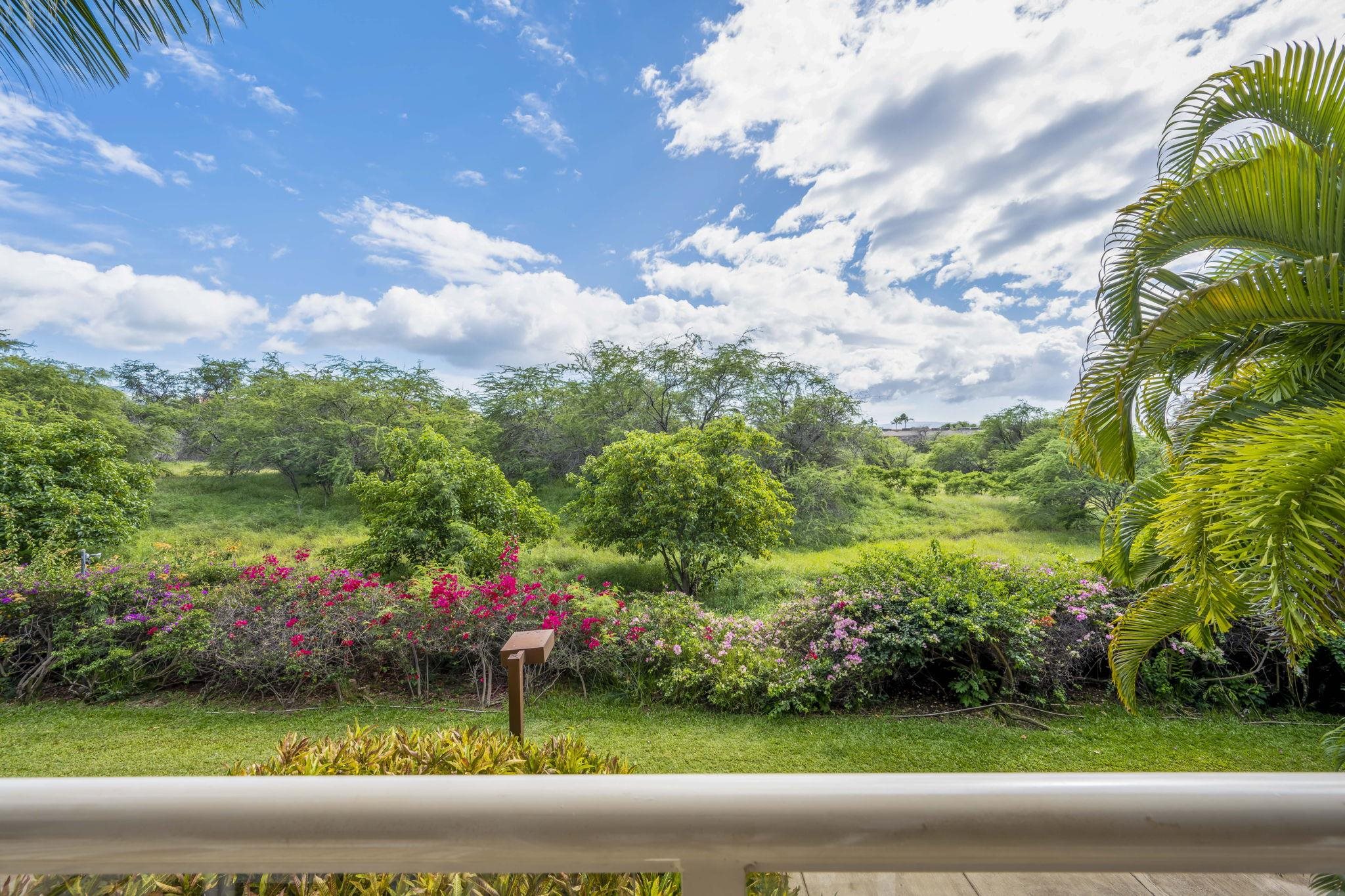 Maui Banyan condo # P205, Kihei, Hawaii - photo 45 of 48