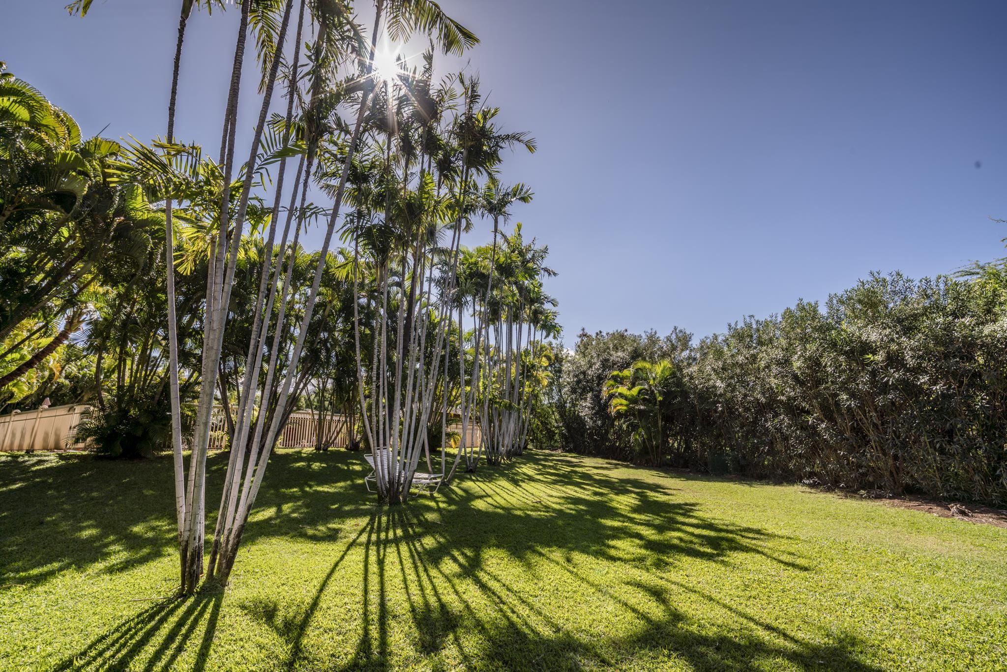 Maui Banyan condo # P403, Kihei, Hawaii - photo 38 of 41