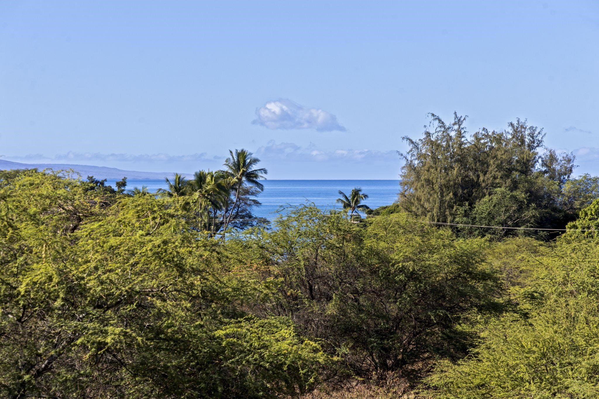 Maui Banyan condo # P409, Kihei, Hawaii - photo 16 of 38