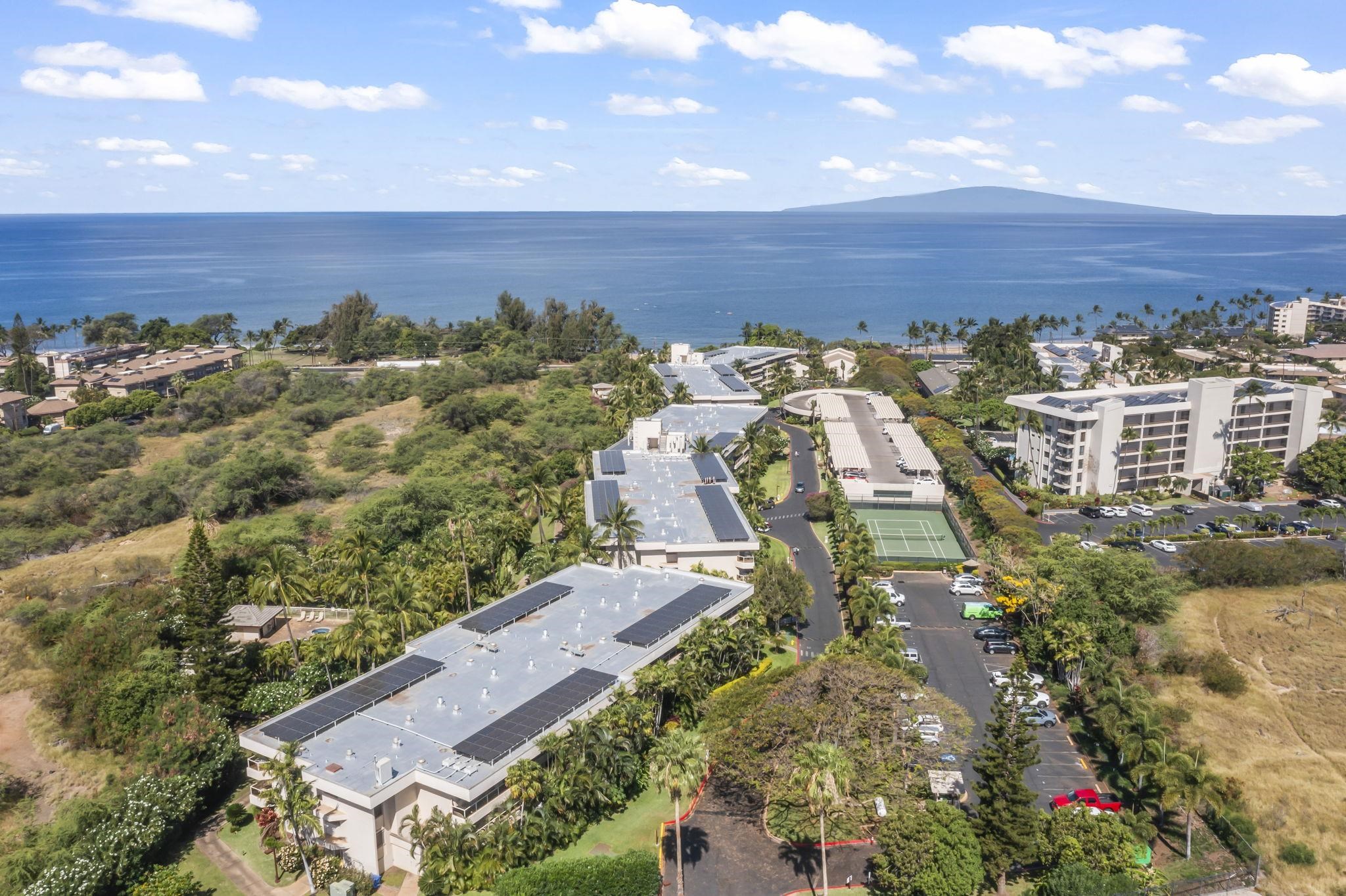 Maui Banyan condo # Q-104, Kihei, Hawaii - photo 44 of 50