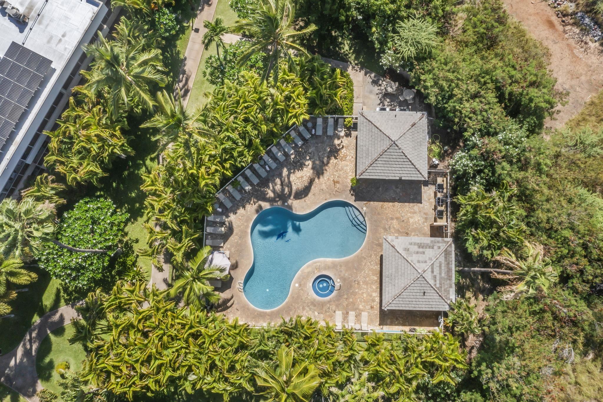 Maui Banyan condo # Q-104, Kihei, Hawaii - photo 45 of 50