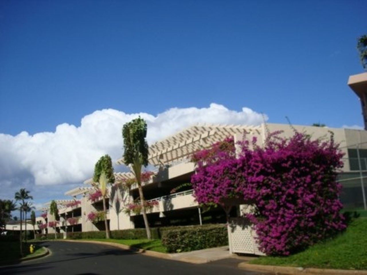 Maui Banyan condo # Q208, Kihei, Hawaii - photo 11 of 21
