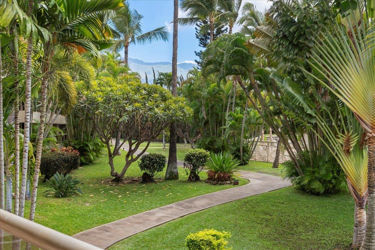 Maui Banyan condo # Q209, Kihei, Hawaii - photo 28 of 37