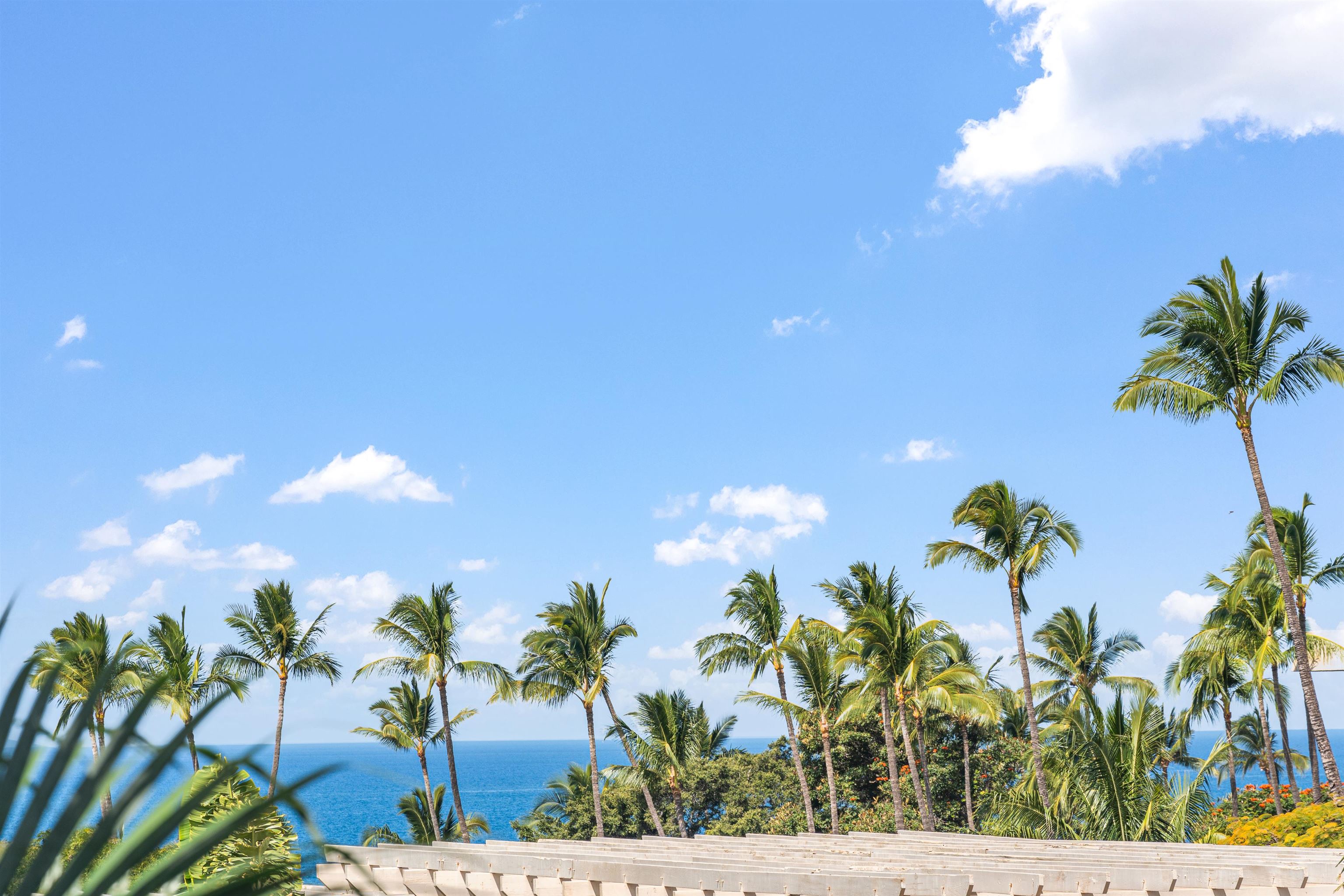Maui Banyan condo # Q 308, Kihei, Hawaii - photo 18 of 43