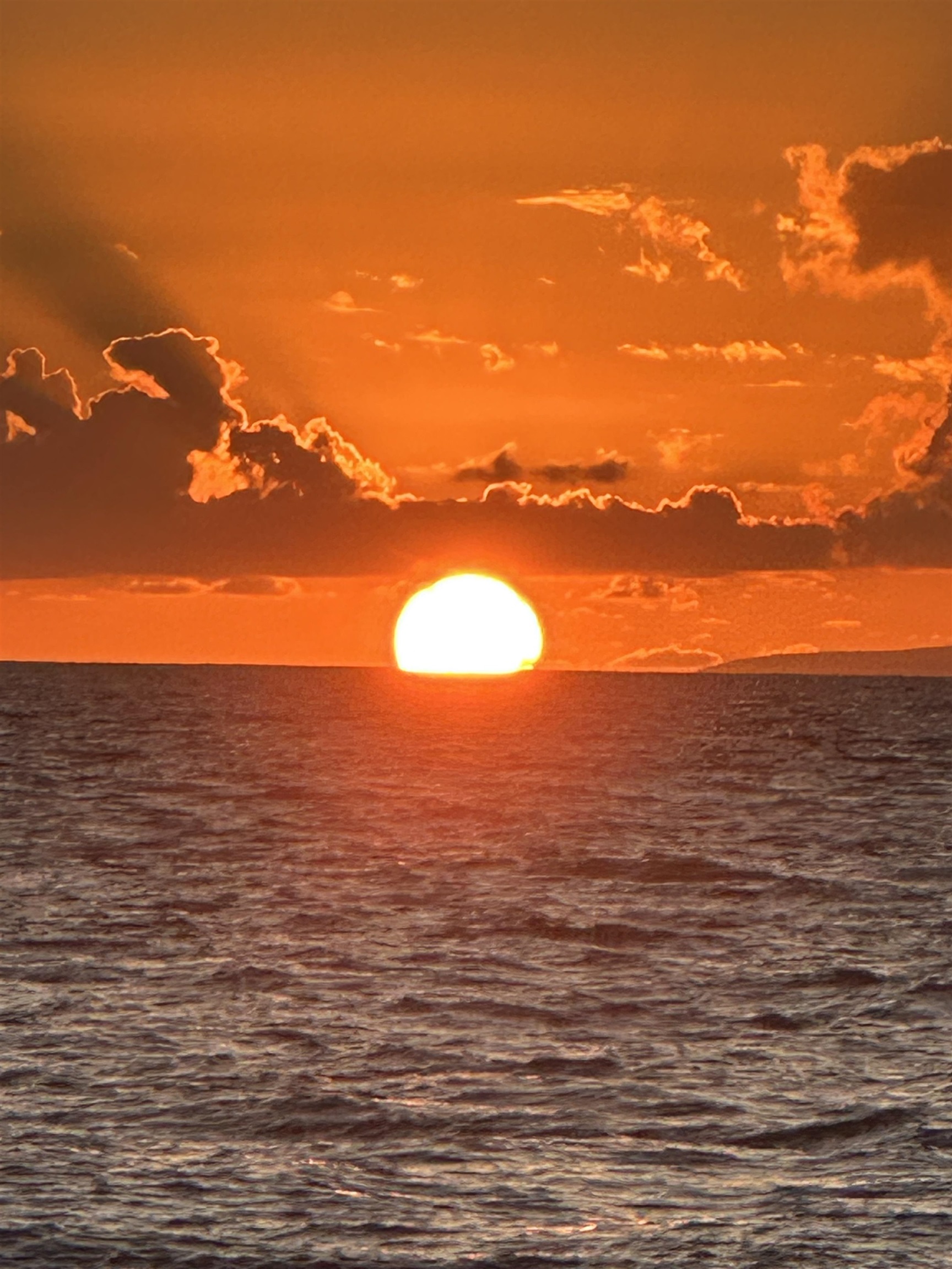 Maui Banyan condo # Q 308, Kihei, Hawaii - photo 43 of 43