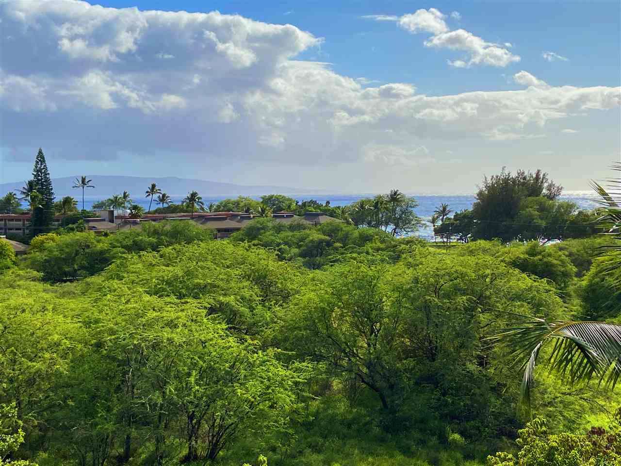 Maui Banyan condo # Q401/401A, Kihei, Hawaii - photo 2 of 25