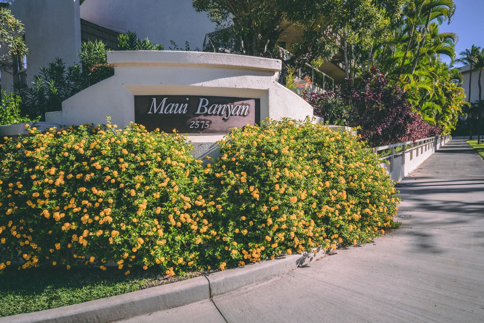 Maui Banyan condo # Q-402, Kihei, Hawaii - photo 49 of 49