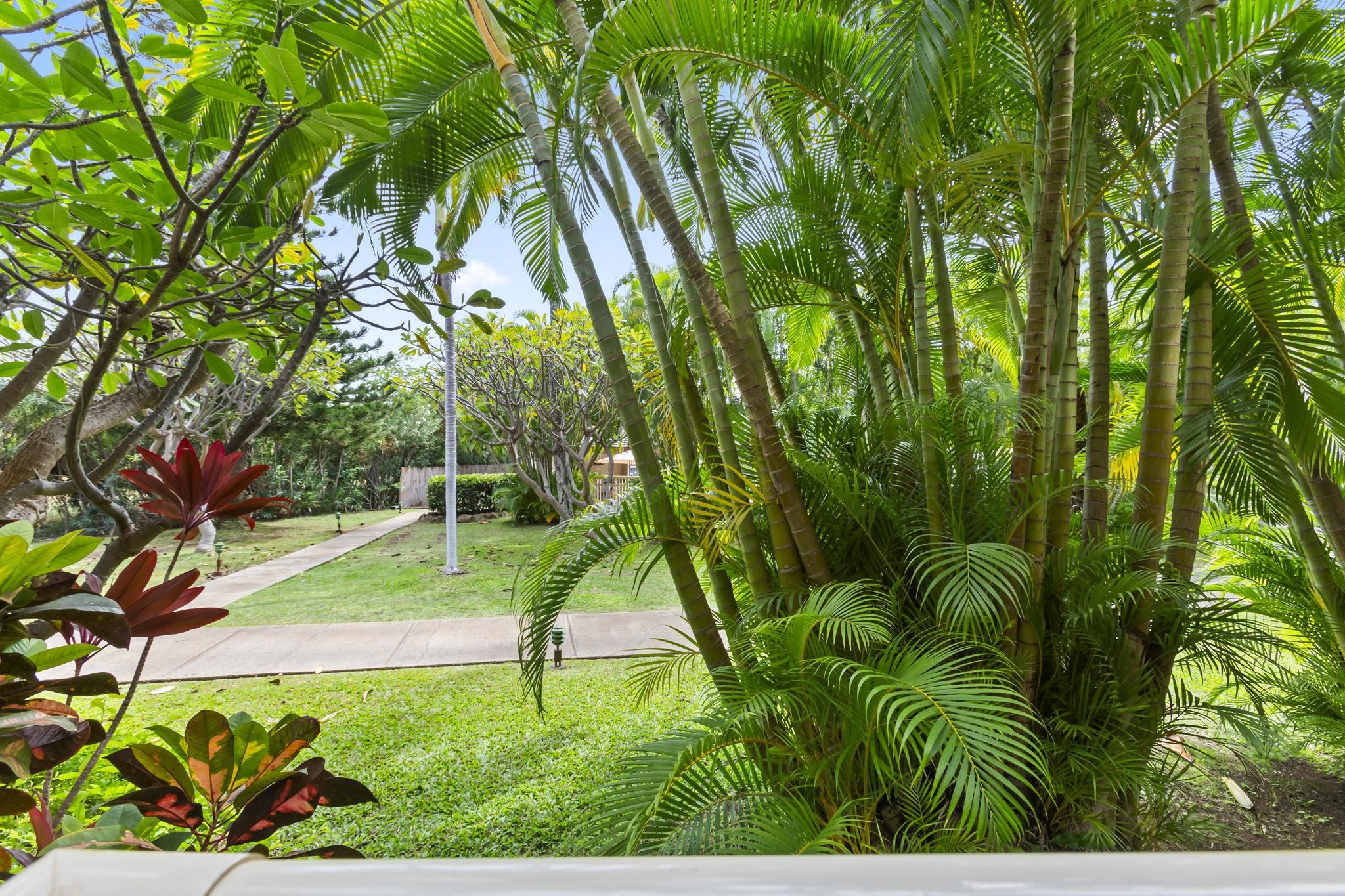 Maui Banyan condo # T105, Kihei, Hawaii - photo 8 of 49