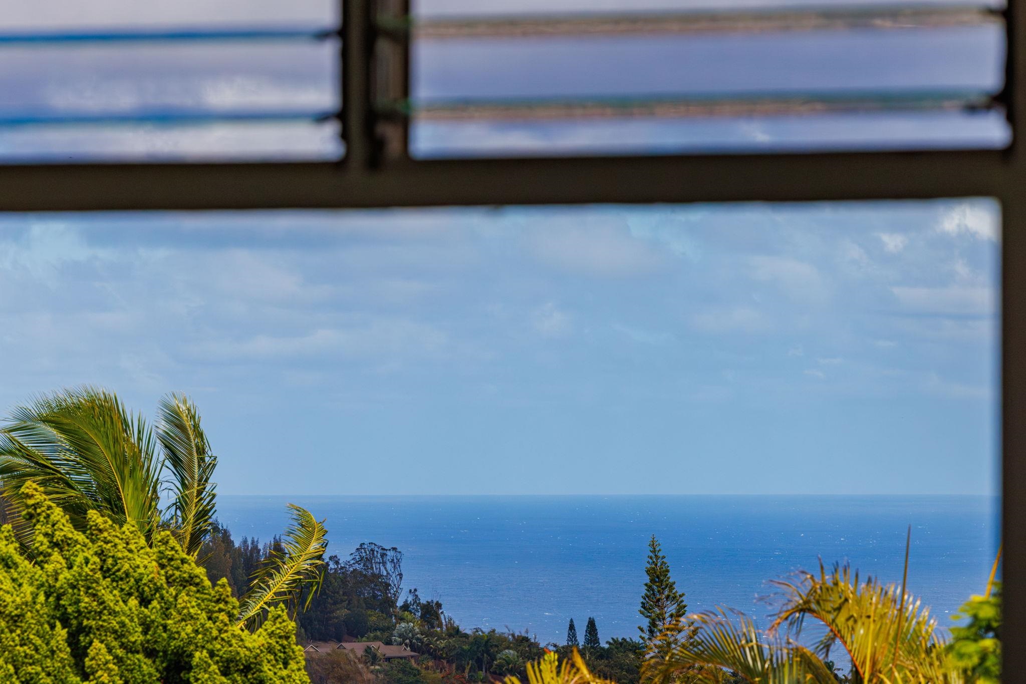 2576  Alohia Pl , Haiku home - photo 37 of 46