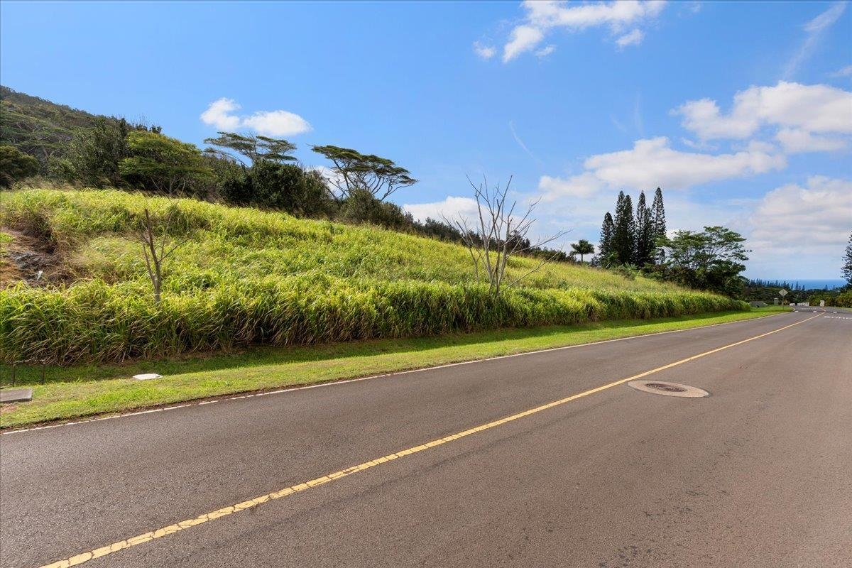 2584 Kamaile St  Wailuku, Hi vacant land for sale - photo 15 of 24