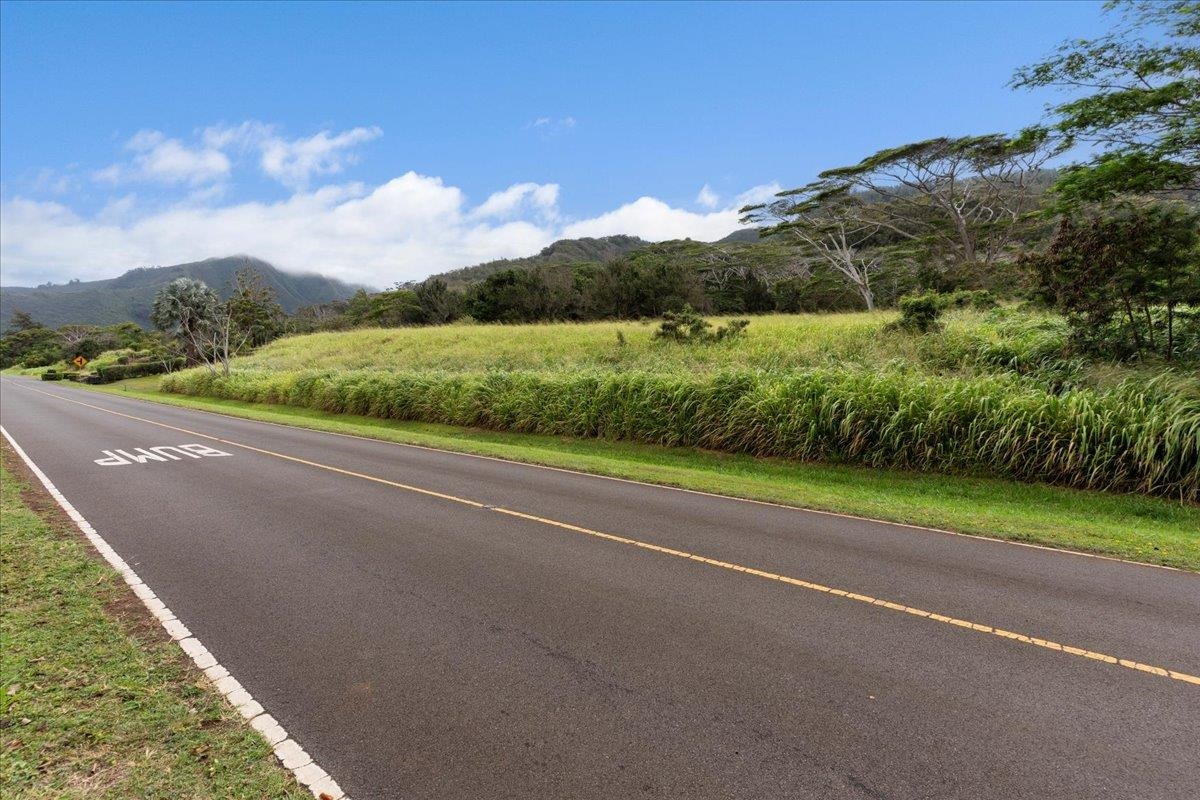 2584 Kamaile St  Wailuku, Hi vacant land for sale - photo 16 of 24