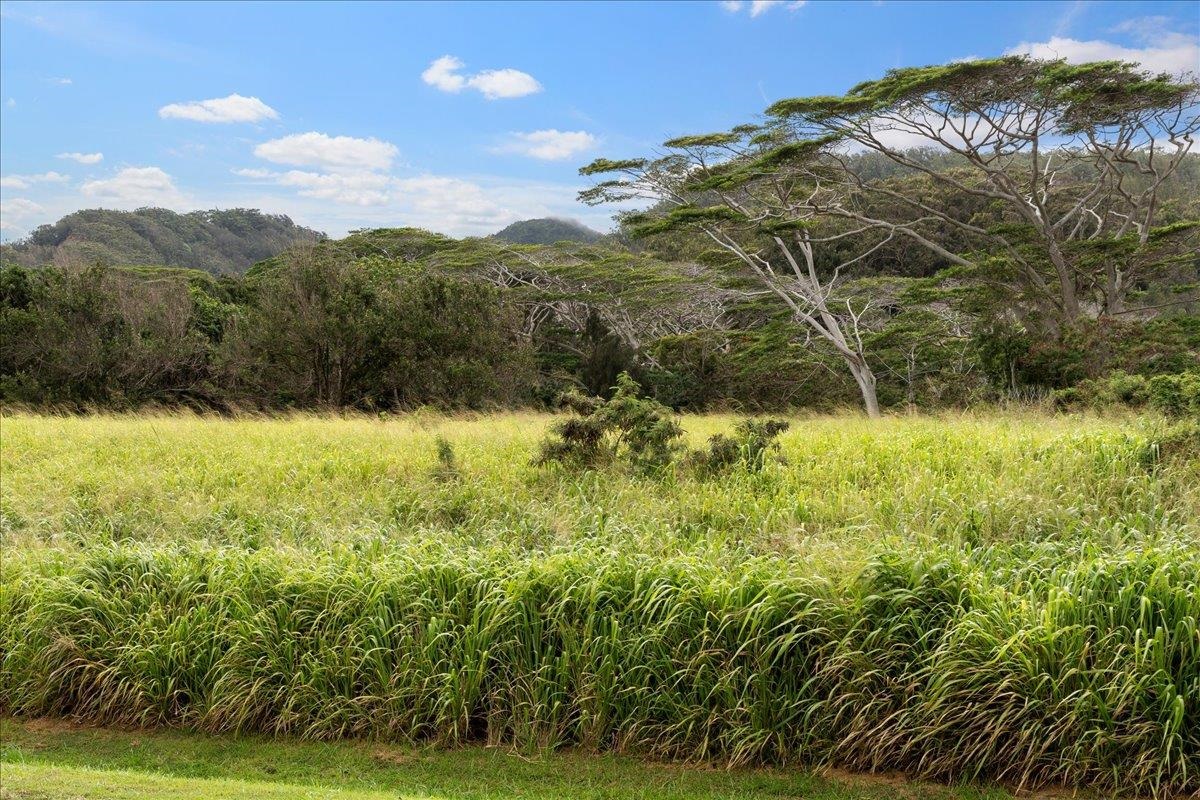 2584 Kamaile St  Wailuku, Hi vacant land for sale - photo 17 of 24