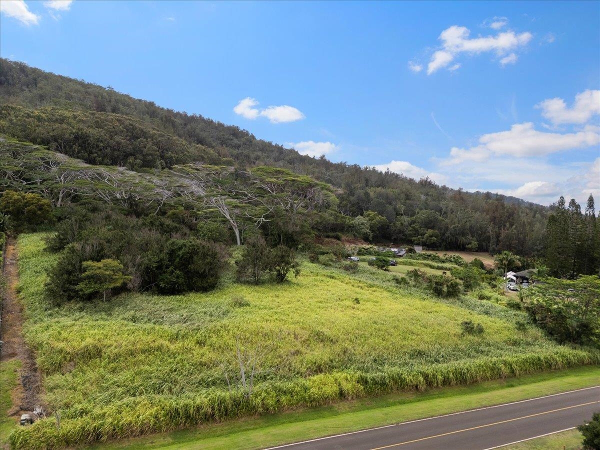 2584 Kamaile St  Wailuku, Hi vacant land for sale - photo 22 of 24