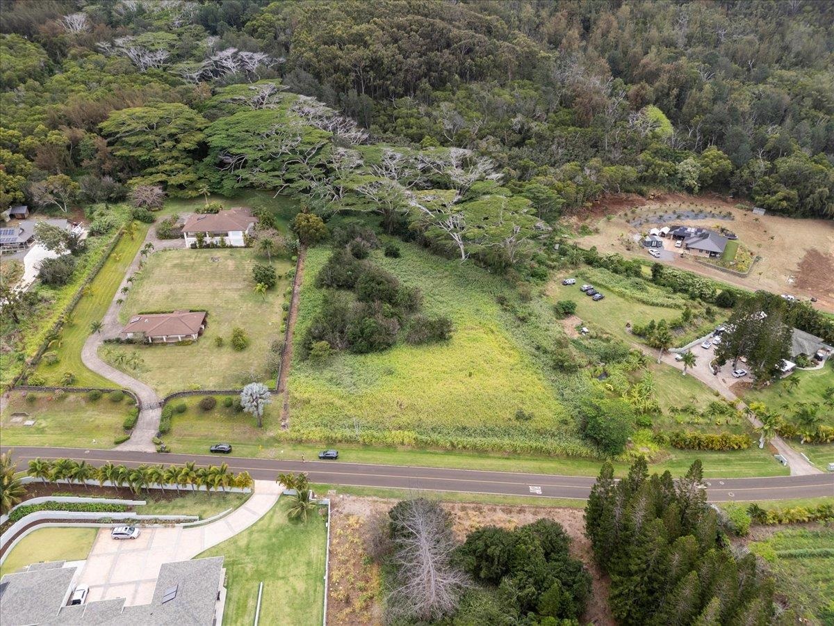 2584 Kamaile St  Wailuku, Hi vacant land for sale - photo 8 of 24