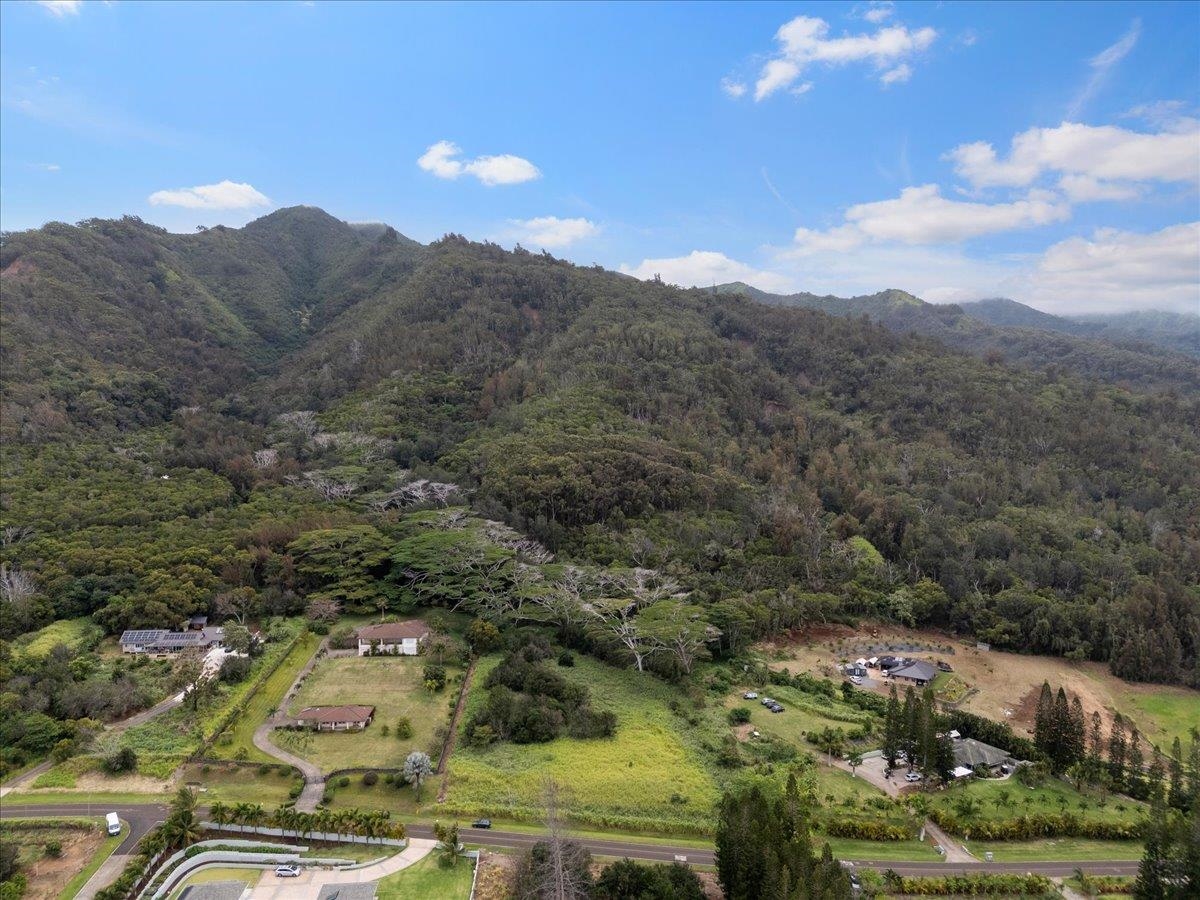 2584 Kamaile St  Wailuku, Hi vacant land for sale - photo 10 of 24