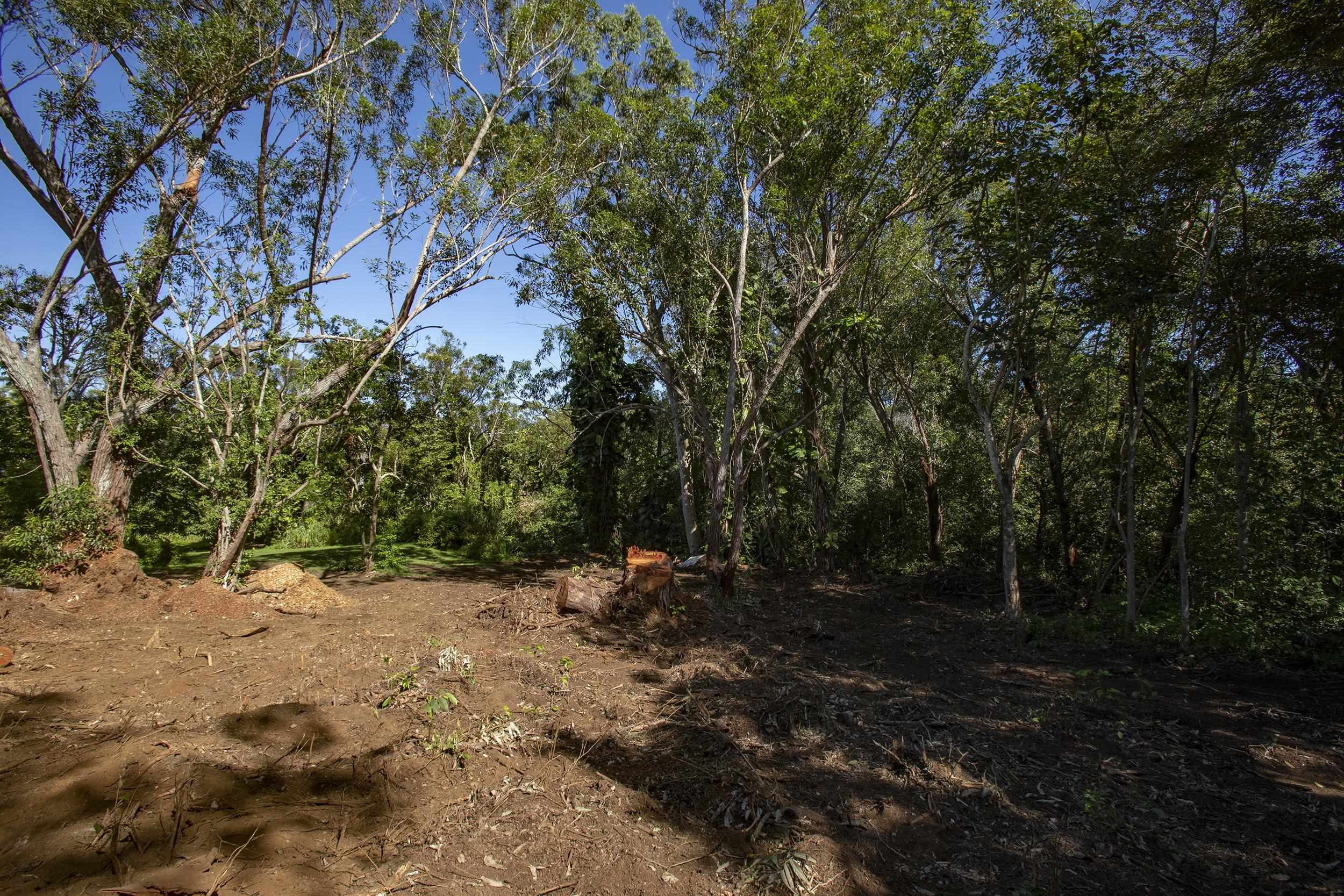 2595 Ala Olu Pl  Haiku, Hi vacant land for sale - photo 14 of 16