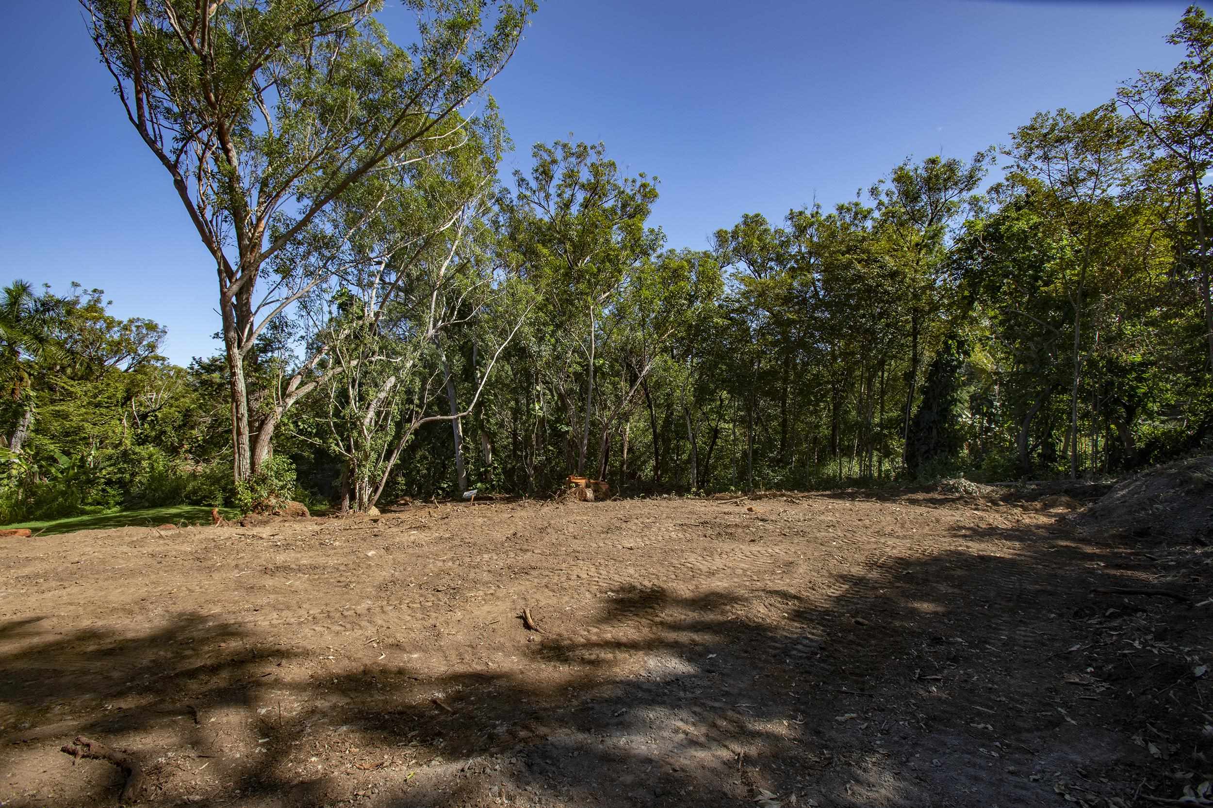 2595 Ala Olu Pl  Haiku, Hi vacant land for sale - photo 15 of 16