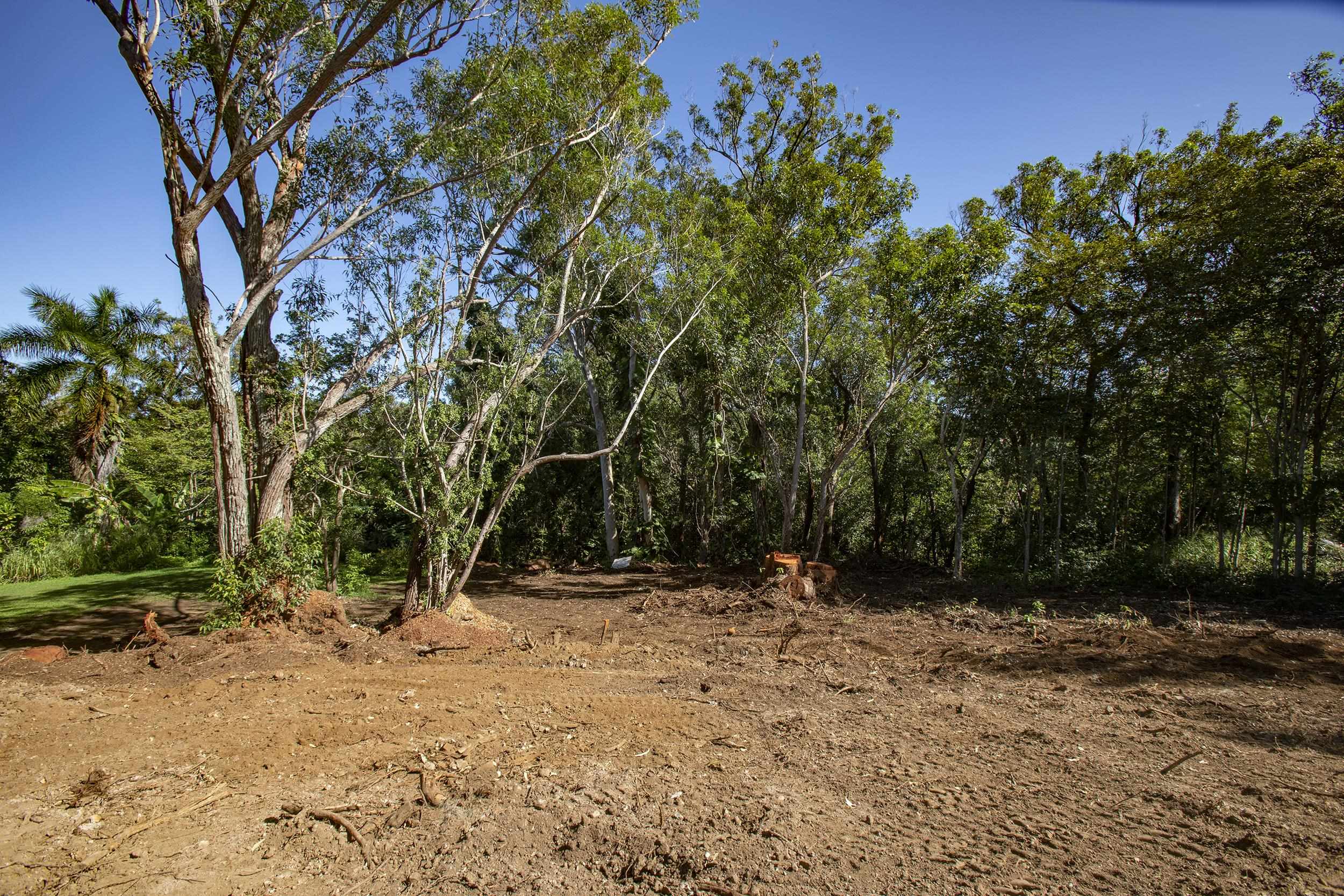 2595 Ala Olu Pl  Haiku, Hi vacant land for sale - photo 5 of 16