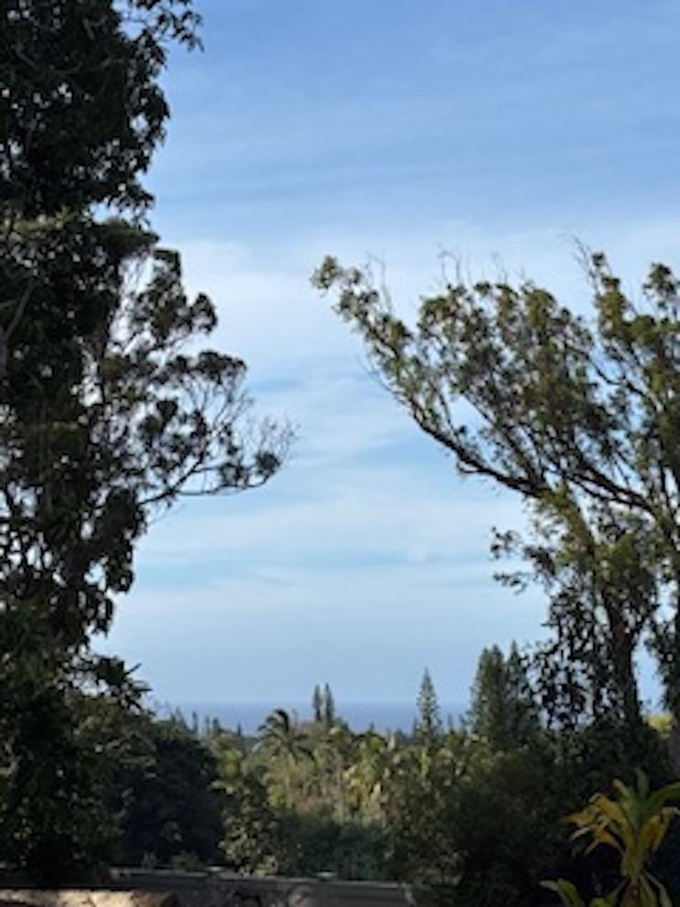 2597 Ala Olu Pl B Haiku, Hi vacant land for sale - photo 3 of 12