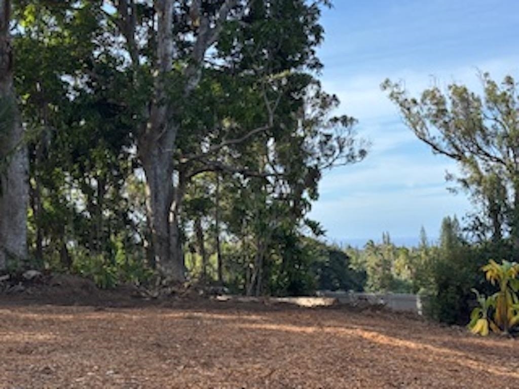2597 Ala Olu Pl B Haiku, Hi vacant land for sale - photo 5 of 12