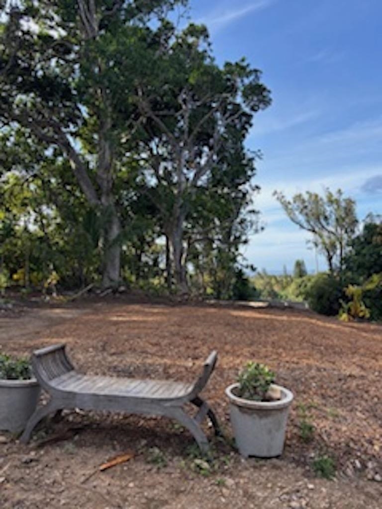 2597 Ala Olu Pl B Haiku, Hi vacant land for sale - photo 6 of 12