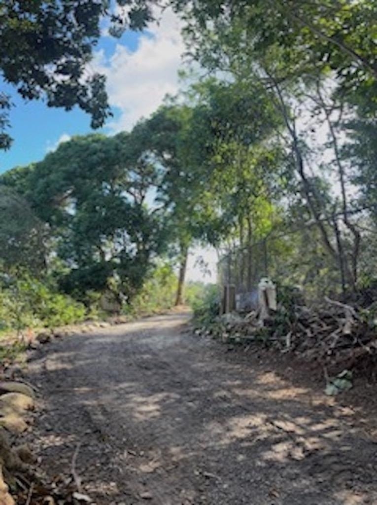 2597 Ala Olu Pl B Haiku, Hi vacant land for sale - photo 7 of 12