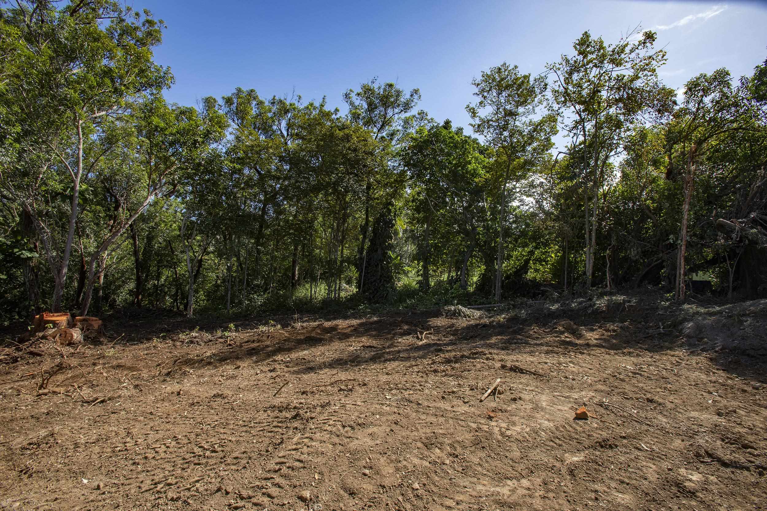 2597 Ala Olu Pl B Haiku, Hi vacant land for sale - photo 8 of 12