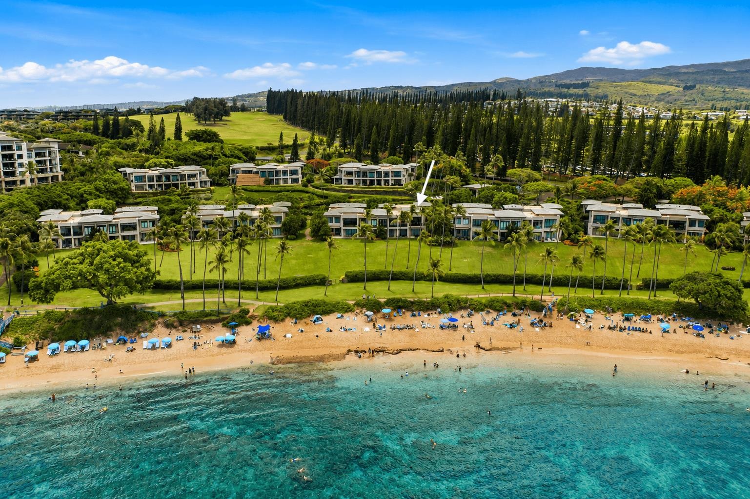 Coconut Grove condo # G26, Lahaina, Hawaii - photo 3 of 50
