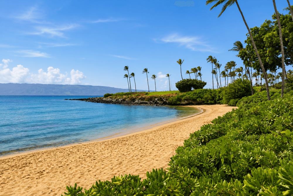 Coconut Grove condo # G26, Lahaina, Hawaii - photo 46 of 50