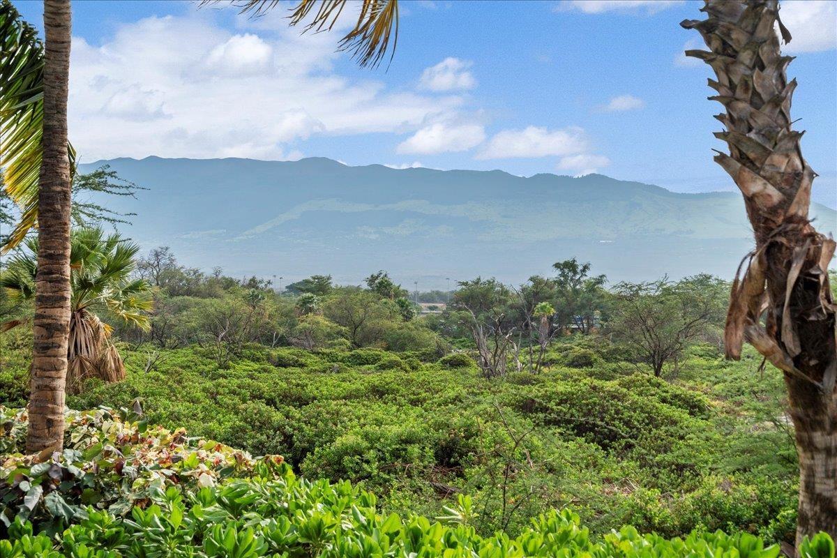 Kai Ani Village condo # 15-101, Kihei, Hawaii - photo 43 of 47